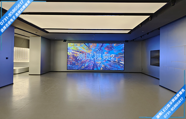 長沙市雨花區某產業園智能會議室LED顯示屏